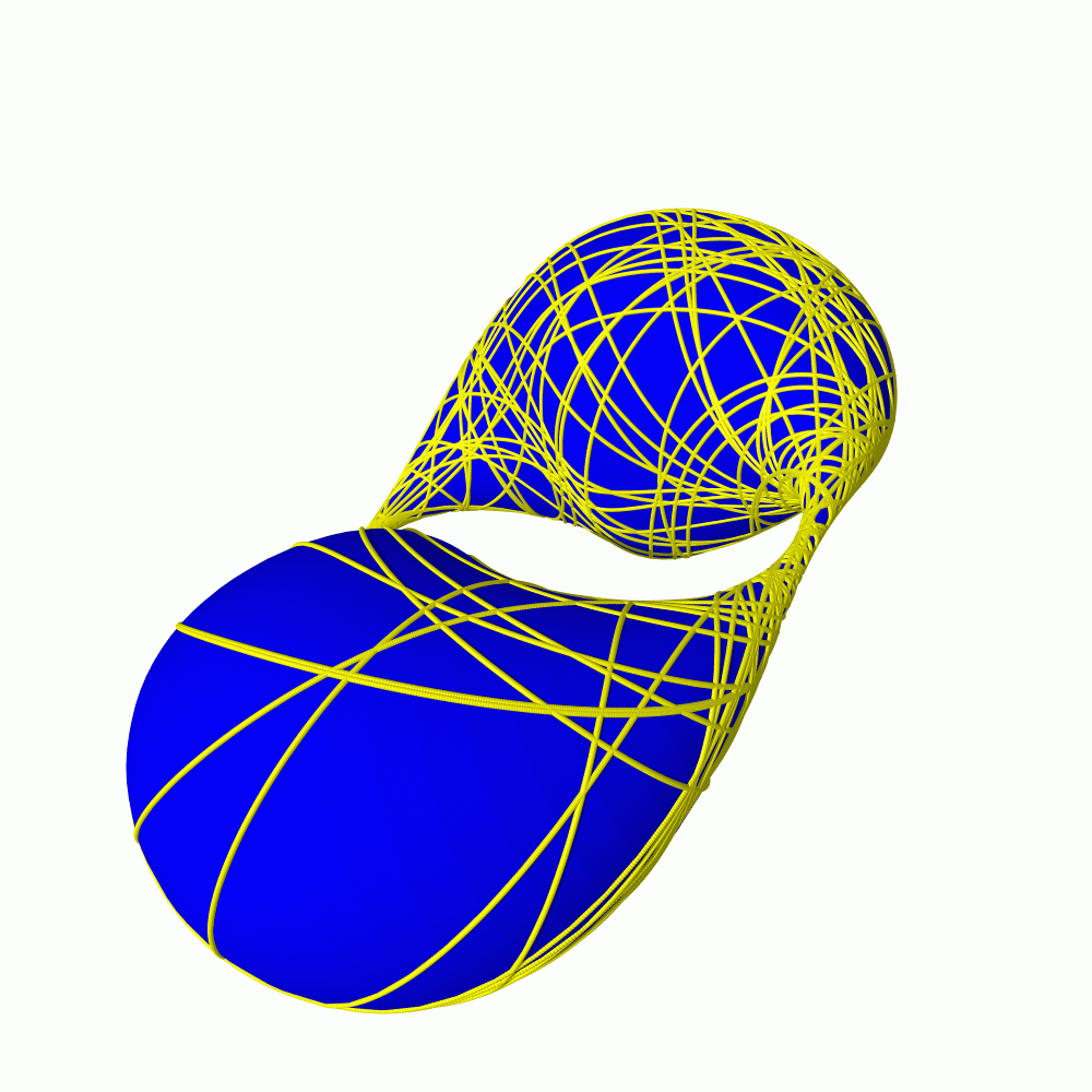 torus11.gif